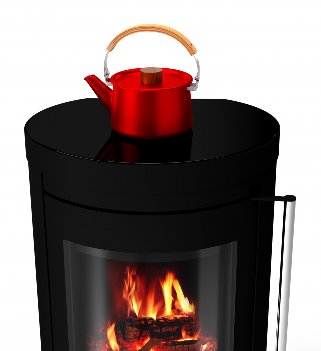 Kaminofen Ember Cook 5,5 kW schwarz kochen 30012680 Kamin Holzofen