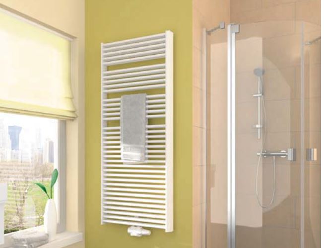 Arbonia Duolino Badheizkörper DLN2M doppellagig Handtuchheizkörper Heizkörper
