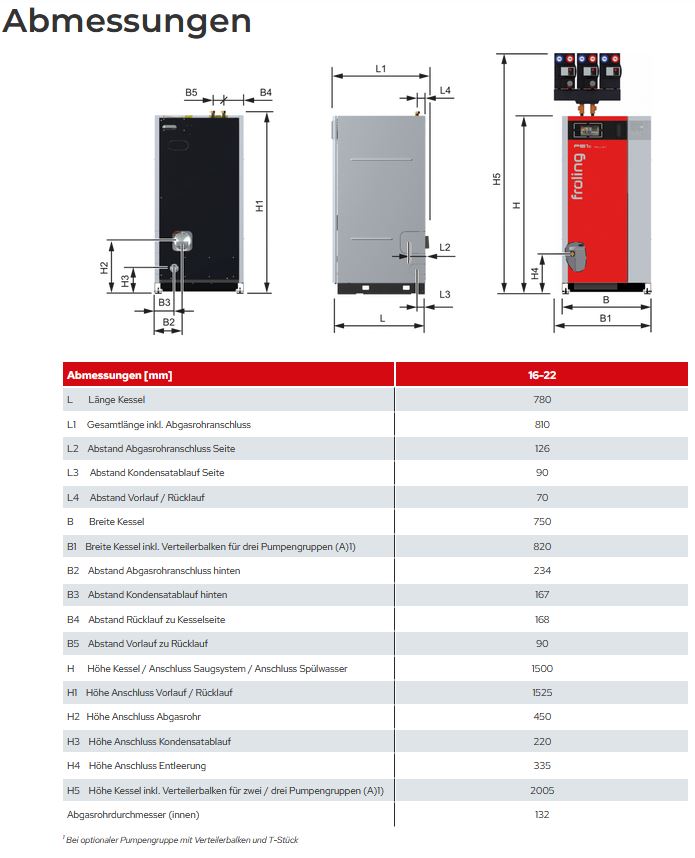 Fröling Brennwert Pelletskessel PE1c Pellet 22 22 kW 14224 Lambdatronic P 3200